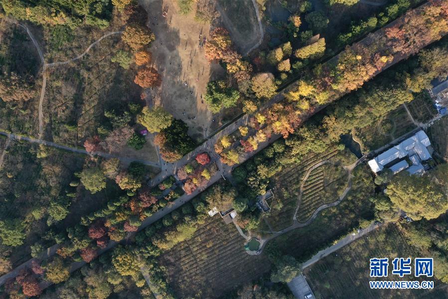 南京：金陵古道染秋色