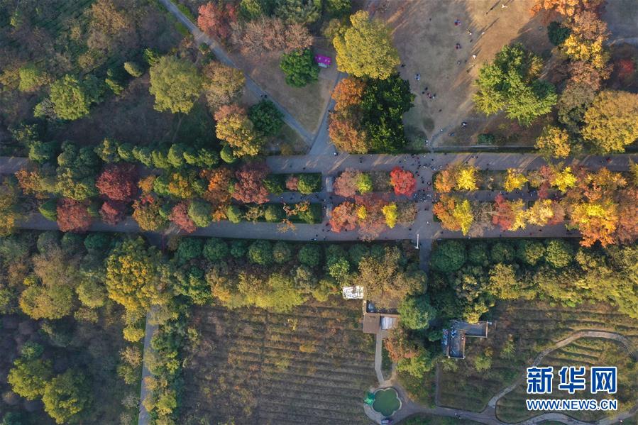 南京：金陵古道染秋色