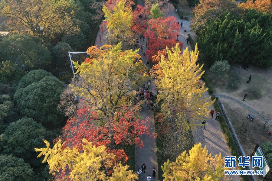 南京：金陵古道染秋色