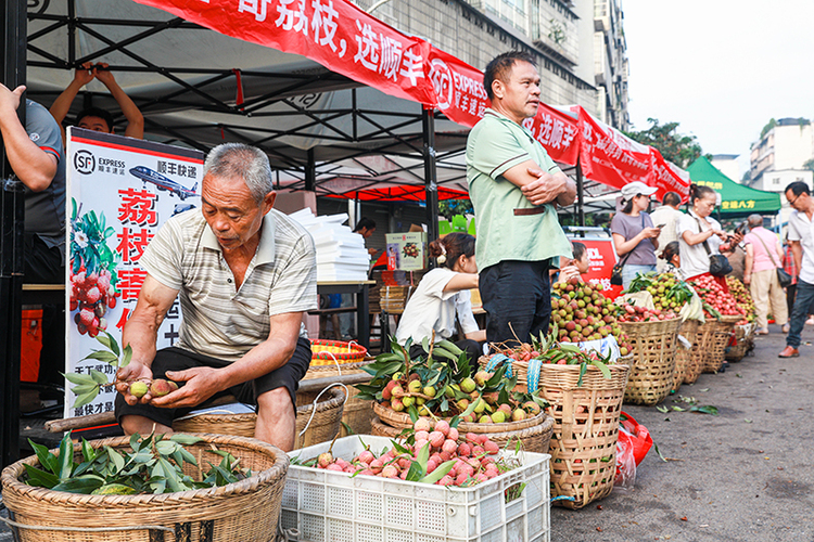 泸州合江：荔枝上市 味美价优_fororder_合江县马街荔枝交易市场