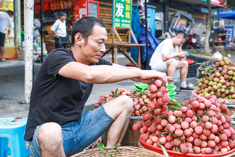 泸州合江:荔枝上市 味美价优