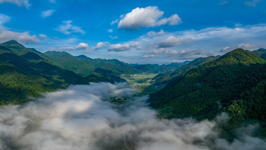 重庆风景壁纸图片