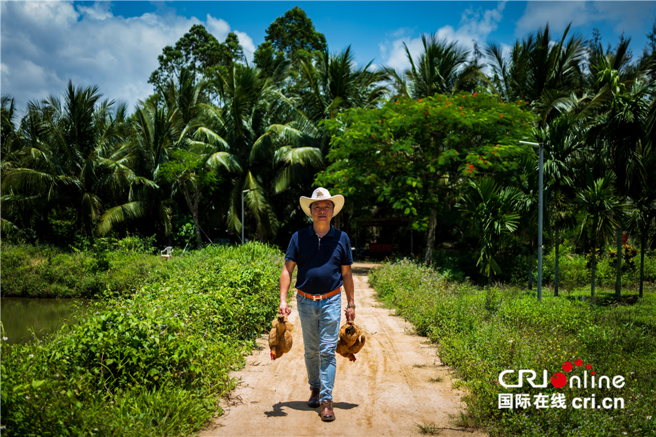 陈礼松：从物流老总到文昌鸡养殖户 追寻记忆中的味道_fororder_823248b6dfb845d09bb5f26b3a309e35
