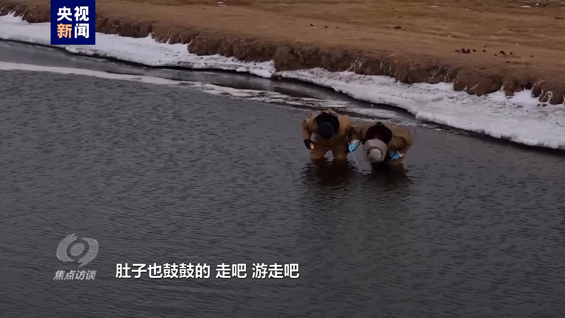 伟大的历史变革丨绘就生态新画卷