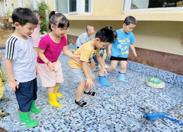 瀋陽市鐵西區實驗幼兒園開展夏日捉泥鰍活動_fororder_圖片1