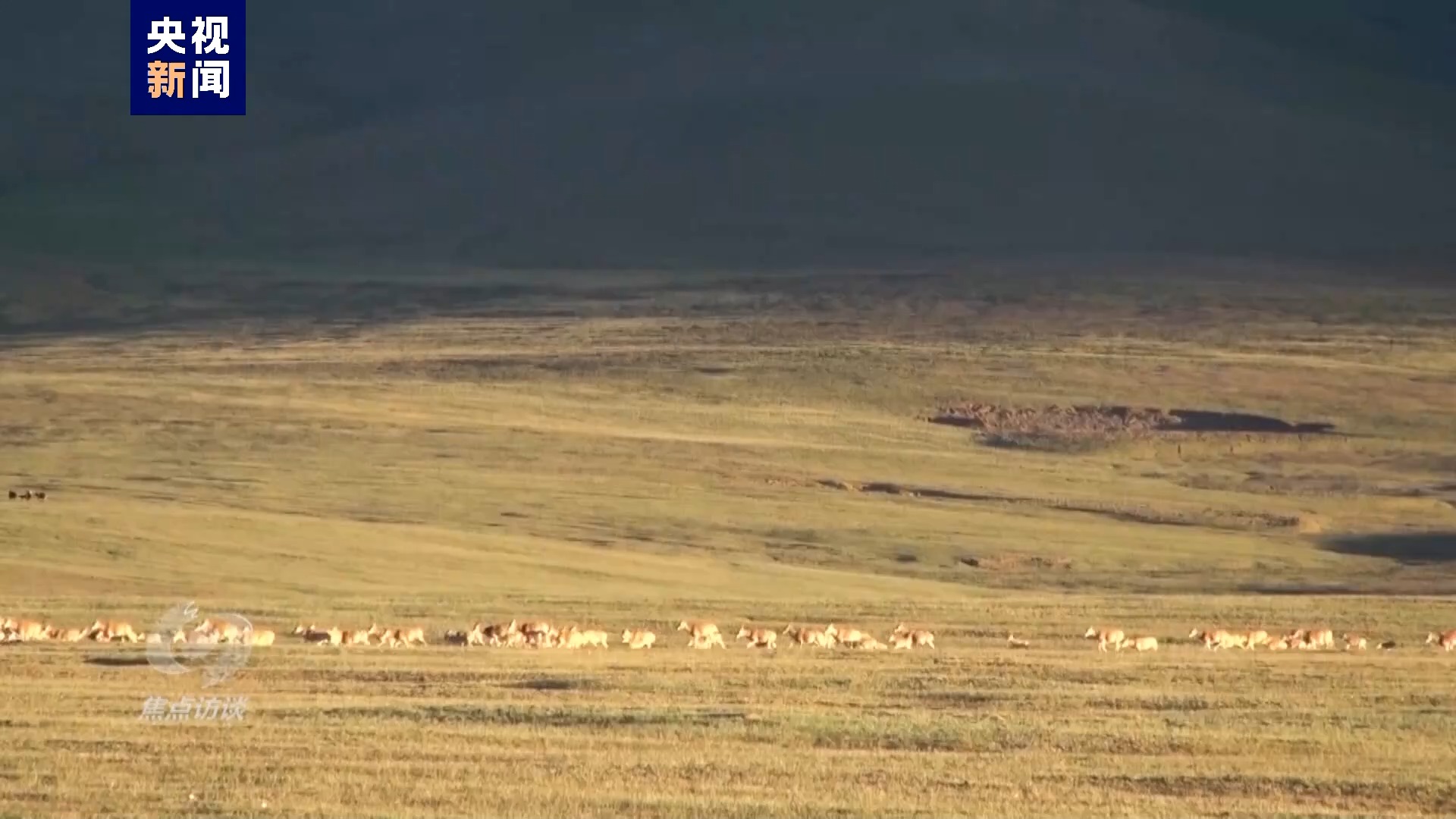 伟大的历史变革丨绘就生态新画卷