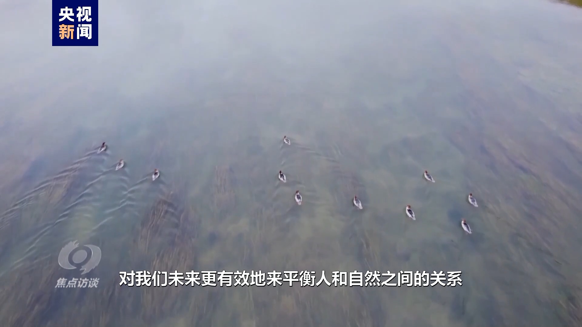 伟大的历史变革丨绘就生态新画卷