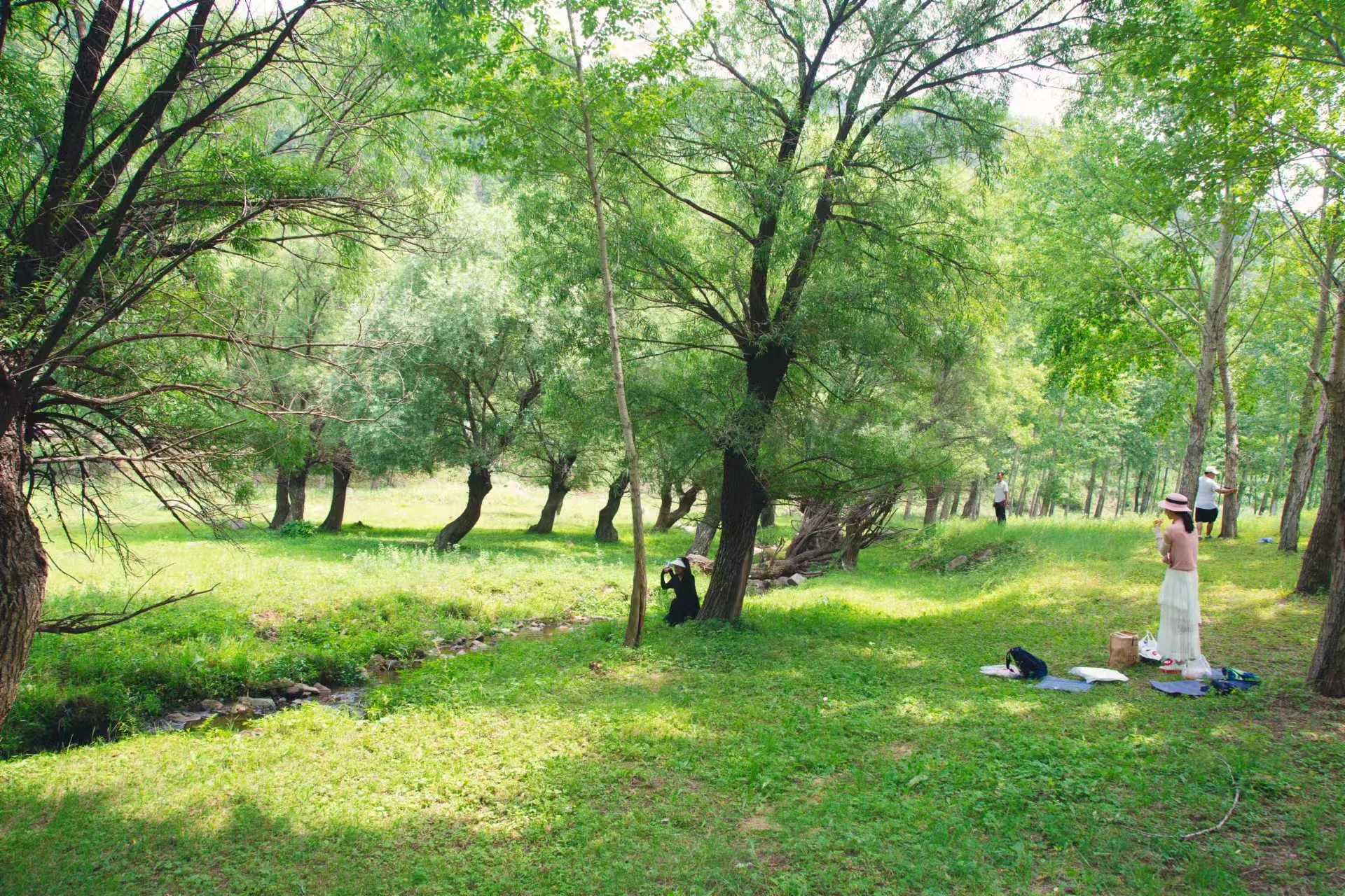 河北平泉：推进生态清洁小流域建设 绘就美丽乡村新画卷_fororder_图片 1