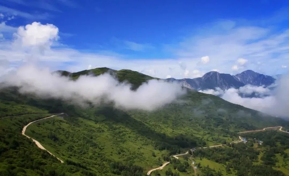 【原创】值得一来 | 在武都开启“美食+美景”双享之旅_fororder_49bda0643c164df3ae7162558300296d~noop