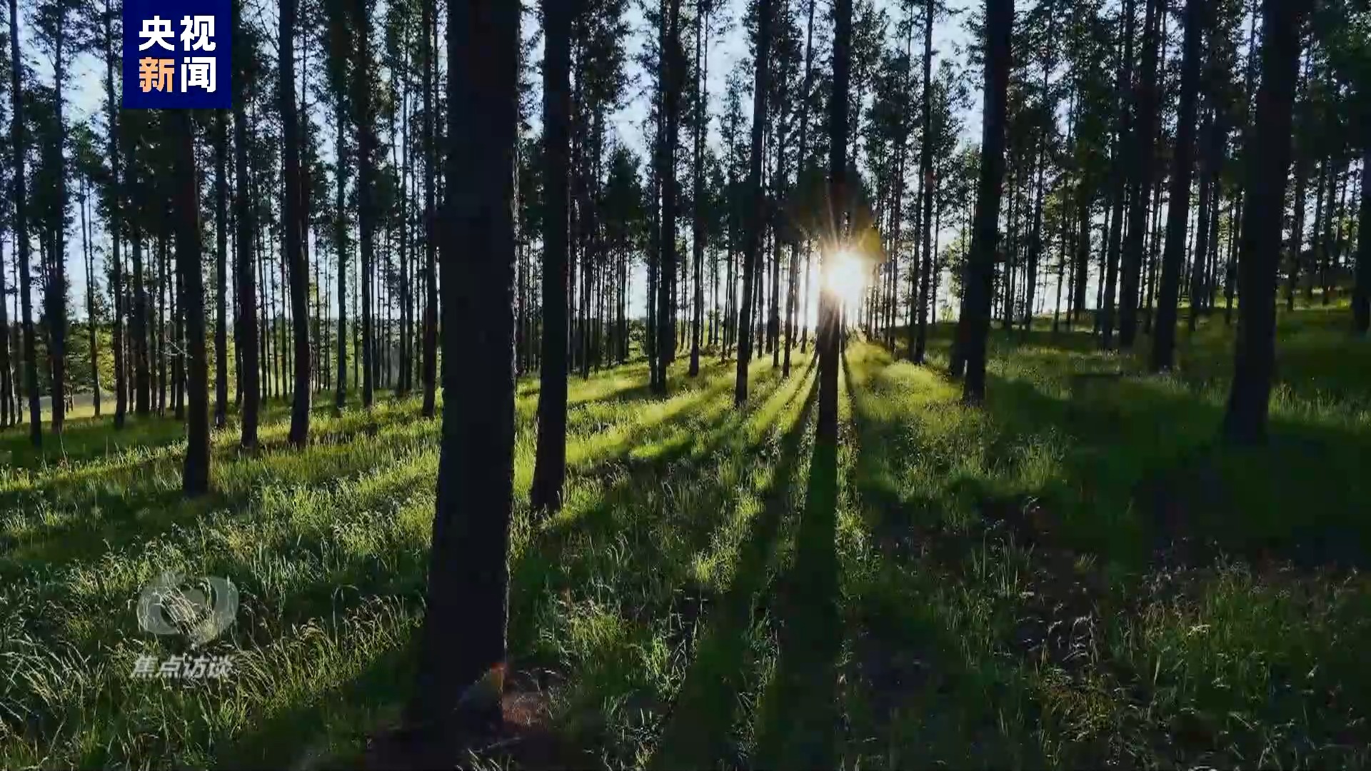 伟大的历史变革丨绘就生态新画卷