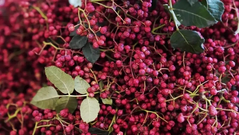 【原创】值得一来 | 在武都开启“美食+美景”双享之旅_fororder_1b88cae8bc0f464684e65e4ea1d60c25~noop