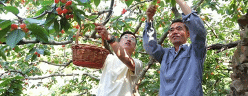 改革为人民｜千方百计让群众腰包鼓起来