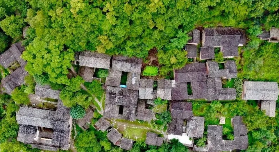 【原创】值得一来 | 在武都开启“美食+美景”双享之旅_fororder_ee8bb2f448524d69bcdf37d08080f265~noop