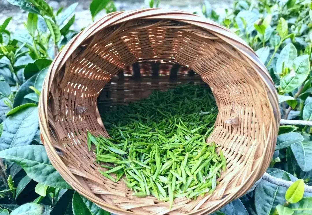 【原创】值得一来 | 在武都开启“美食+美景”双享之旅_fororder_023f38259d834a6598a3b2a6a2ce1517~noop