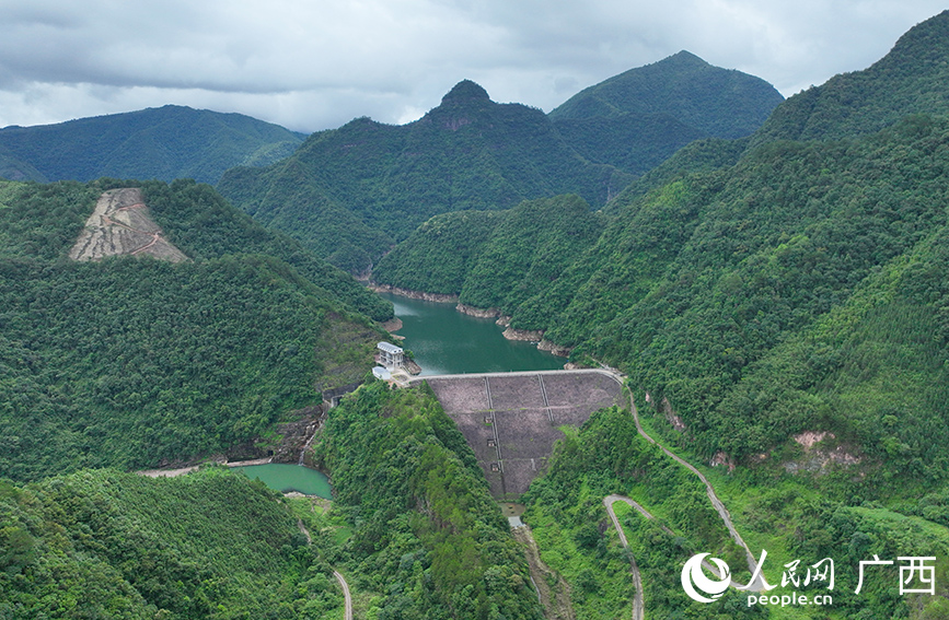 廣西金秀:點“綠”成“金”推動鄉村振興
