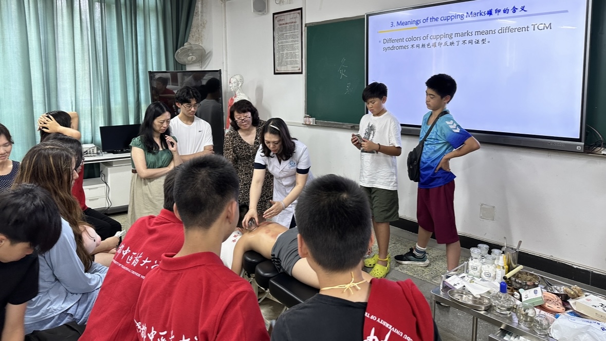 （转载）探寻中医智慧 2024海外华裔青少年夏令营走进成都中医药大学