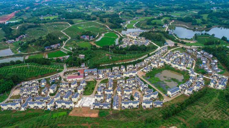 简阳市三星镇共和村图片