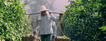 改革为人民｜千方百计让群众腰包鼓起来