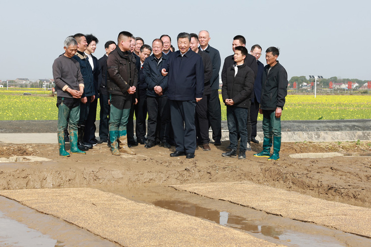 改革为人民丨良田良种良机良法 习近平心系农业现代化