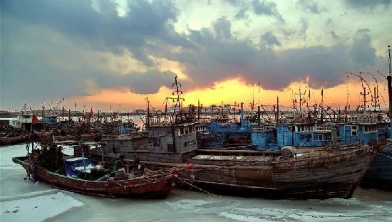 河北省要建3个渔港经济区