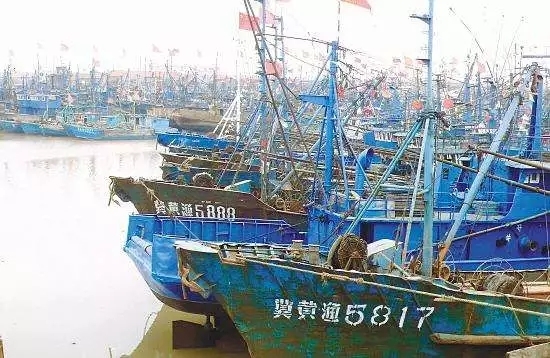 河北省要建3个渔港经济区