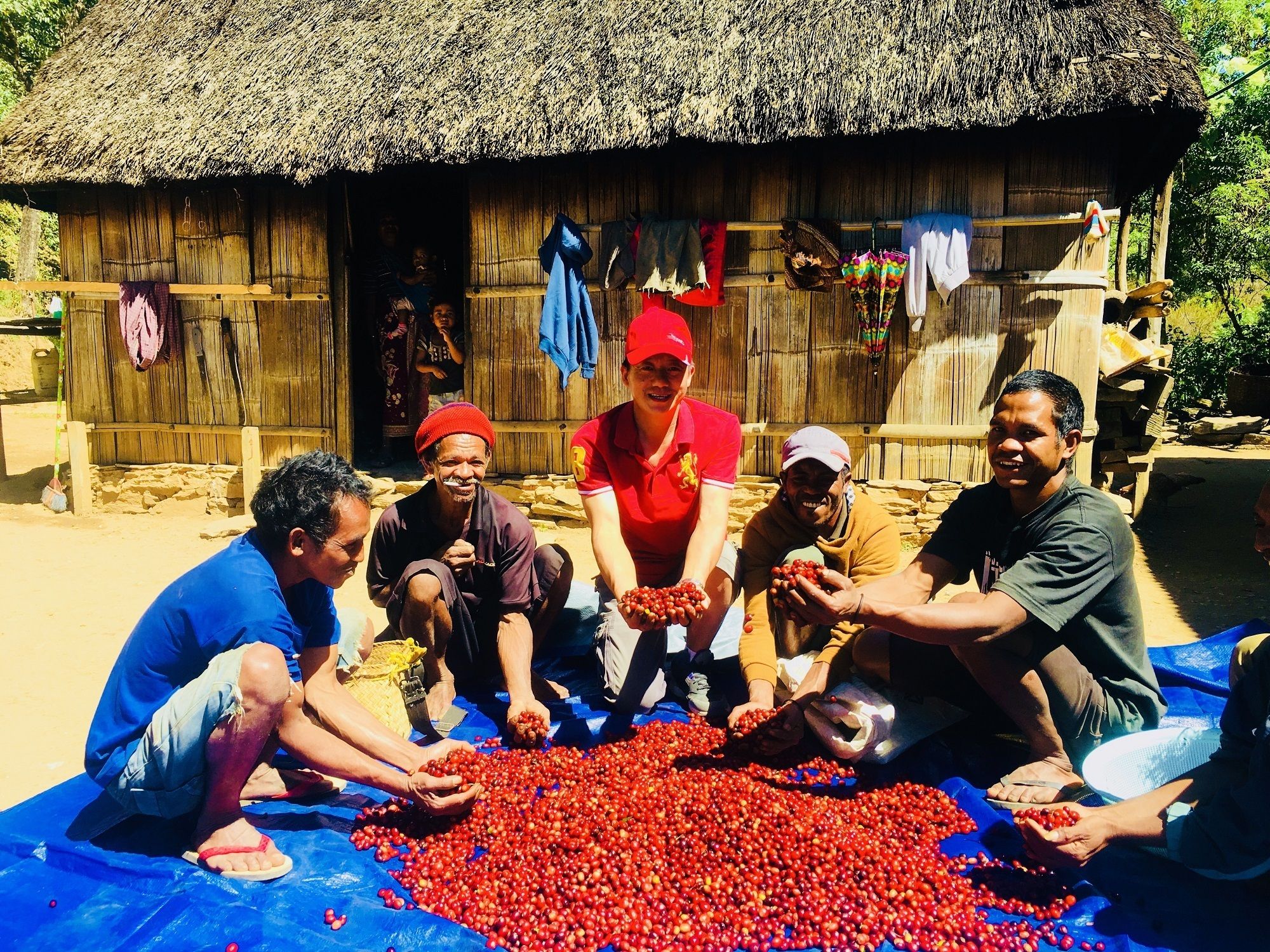 资讯有故事丨从种子到杯子 中国助力东帝汶咖啡香飘世界