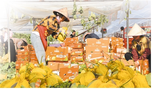 广西生态移民安置区五个家园建设风生水起