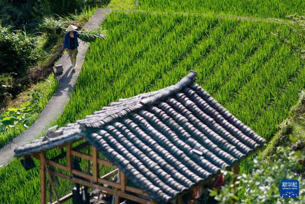 貴州雷山控拜村：600年間回蕩的銀之歌