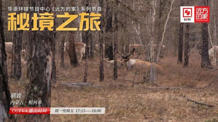 《秘境之旅》：探寻无人区的生命奇迹