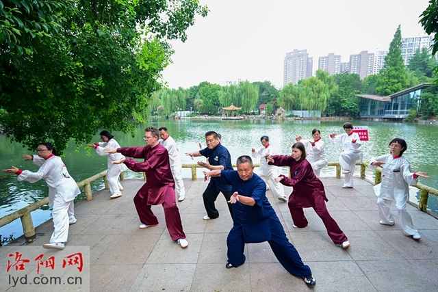 “老外”迷上中国功夫 来洛拜师学太极拳