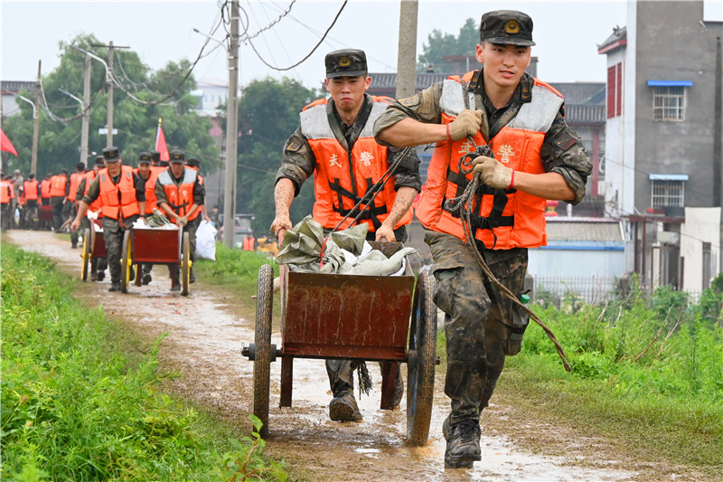 南阳市社旗县：众志成城防大汛_fororder_武警官兵抢运防汛沙袋 摄影 申鸿皓