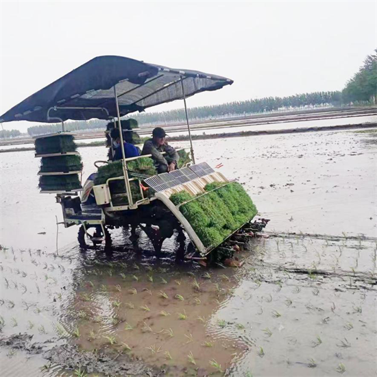 和美鄉村 瀋陽畫卷 | 陳臺村：把握“糧”機 機械化種植育出豐收好“苗”頭_fororder_和美鄉村2