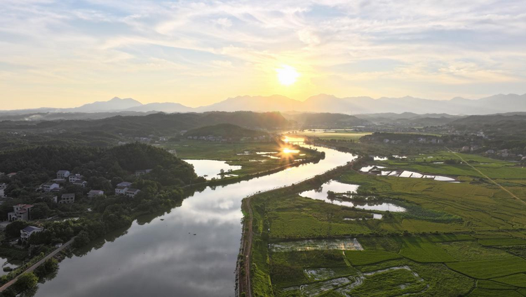 湖南衡山萱洲国家湿地公园夏日鱼鸟“共舞” 生机盎然_fororder_图片2