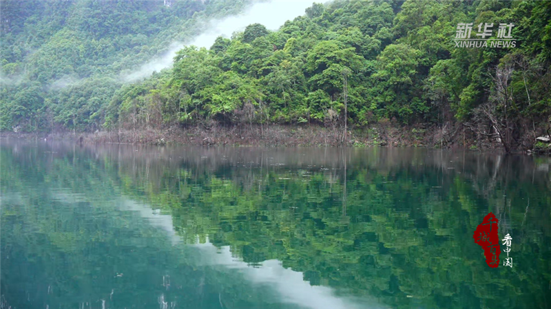 千城百縣看中國｜湖北鶴峰：青山雨後黛如詩_fororder_微信圖片_20240717093945