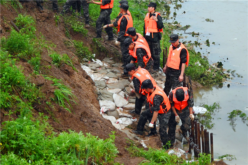 南阳市社旗县：众志成城防大汛_fororder_武警官兵加固潘河大堤 摄影 申鸿皓