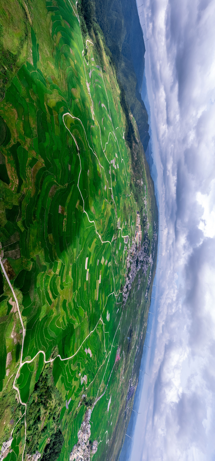 高坡雲頂：萬畝稻田繪就生態畫卷