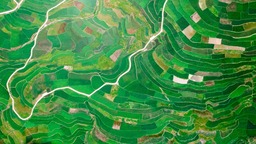 高坡云顶：万亩稻田绘就生态画卷