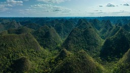 中国南方喀斯特森林生态系统茂兰大样地启动2024年度调查工作