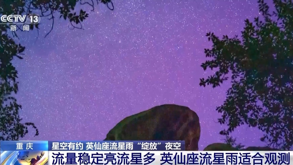 双重惊喜“绽放”夜空 英仙座流星雨“邂逅”极光