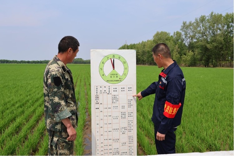 “水”與“土”的交響 ——北大荒集團名山農場有限公司生態農業發展紀實_fororder_WechatIMG388