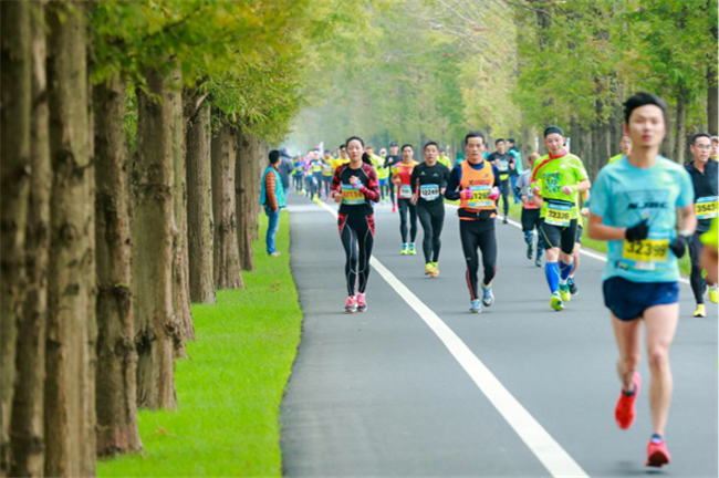 專題稿件（高淳專題 慢城高淳圖文+標題）南京高淳國際慢城馬拉松賽11月3日起跑