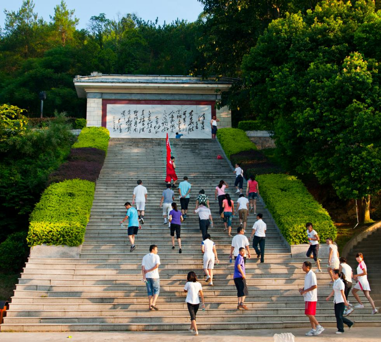 长征路上学党史|江西会昌：赣南大地“风景独好” 革命苏区焕发新颜_fororder_图片5