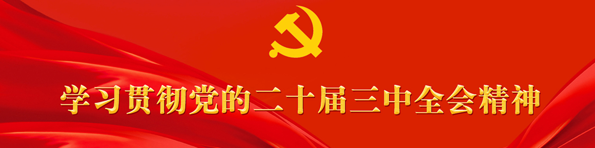 学习贯彻党的二十届三中全会精神_fororder_未标题-1