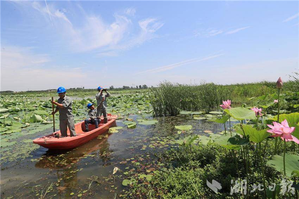 國網武漢供電公司：保護生態環境 員工在行動_fororder_微信圖片_20240816103729