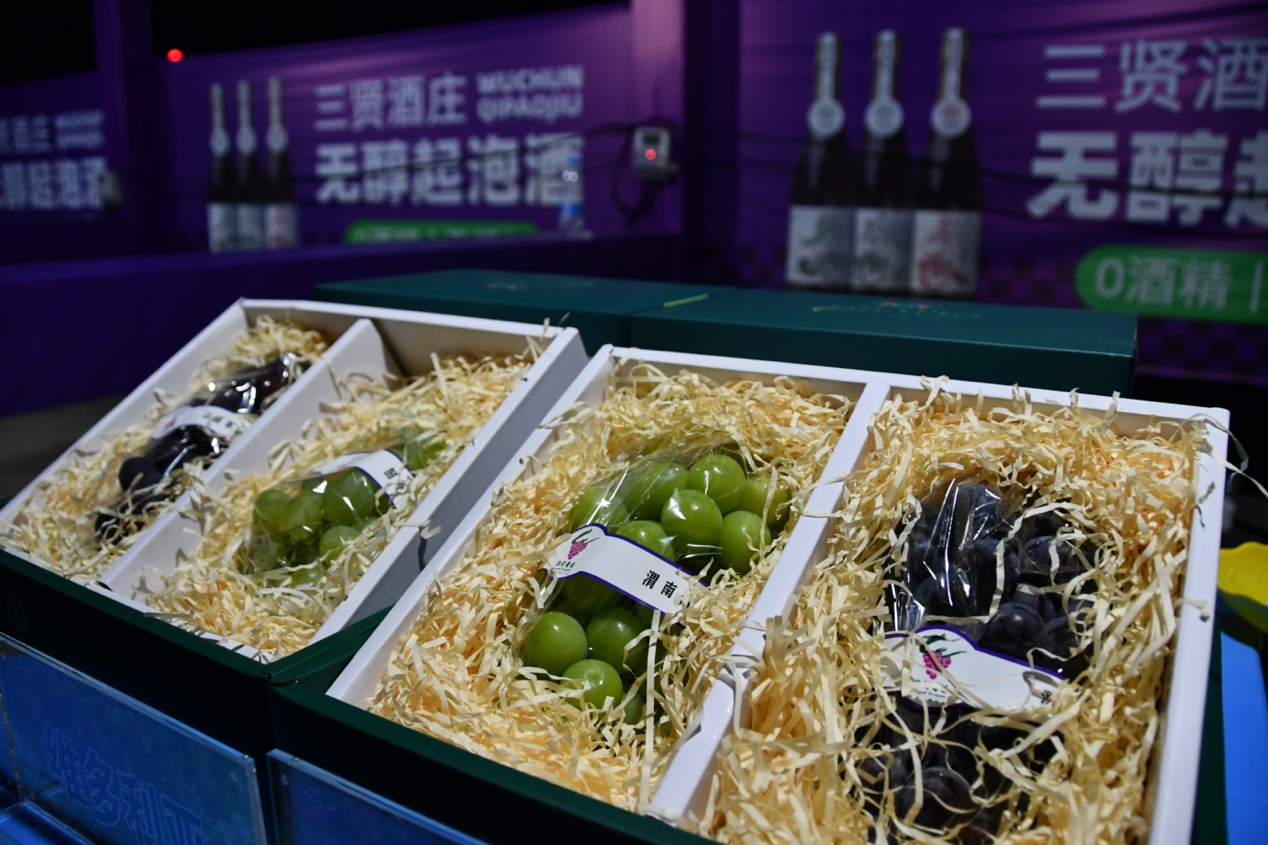 渭南市臨渭區：以葡為媒 多彩音樂節開啟甜蜜狂歡_fororder_圖片5