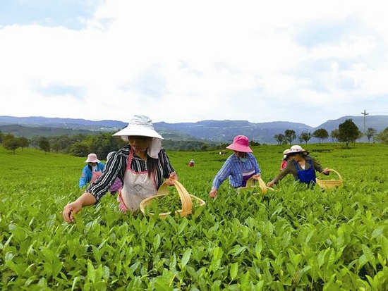 锚定目标笃行实干 夯基蓄能向新而行 ——水城区全力推动经济社会高质量发展综述_fororder_1e0cc798-4678-484f-883f-0b8b13513fa6