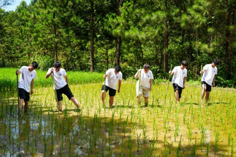 南昌工程学院“寻‘水’溯源 遇‘践’青春”实践团赴裴梅镇开展暑期社会实践活动_fororder_图片16