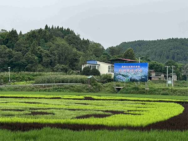 院士专家齐聚简阳 共商山地现代农业高质量发展_fororder_简阳市丘区现代农业科创转化中心