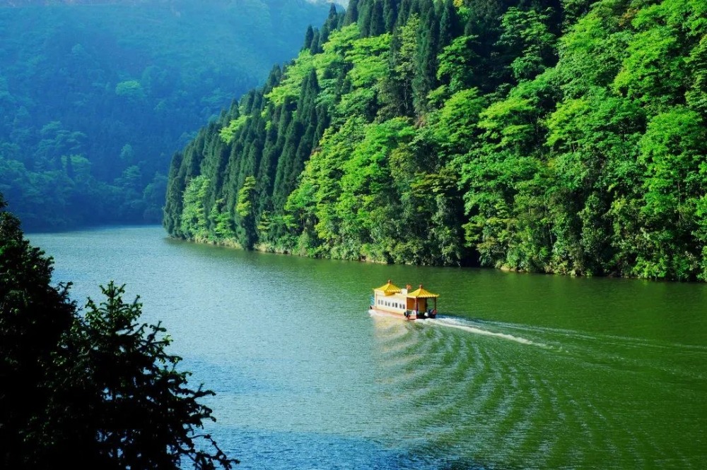 上山避暑一站直达！重庆开通多趟“清凉”旅游直通车