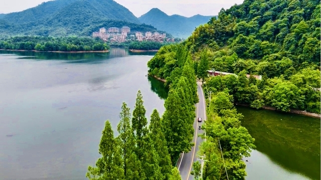 皖美夏日，游湖天花板！这条风景道带你走起！